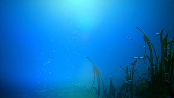 بک گراند ویدیویی گرافیکی زیر دریا