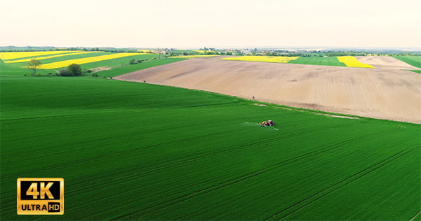 فیلم هوایی زمین کشاورزی سرسبز
