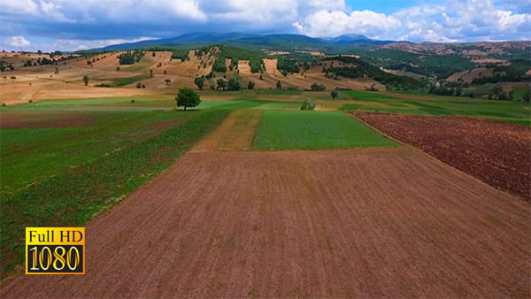 فیلم هوایی از مزرعه