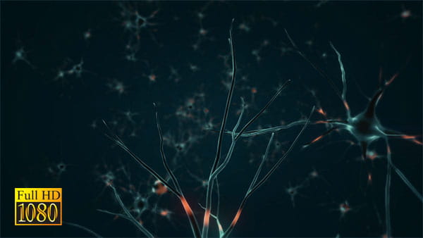 فوتیج ویدیویی سلول های عصبی
